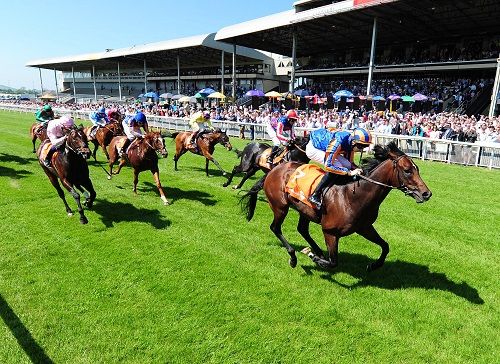 The Curragh Racecourse