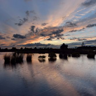 DSC_7326-2f-s