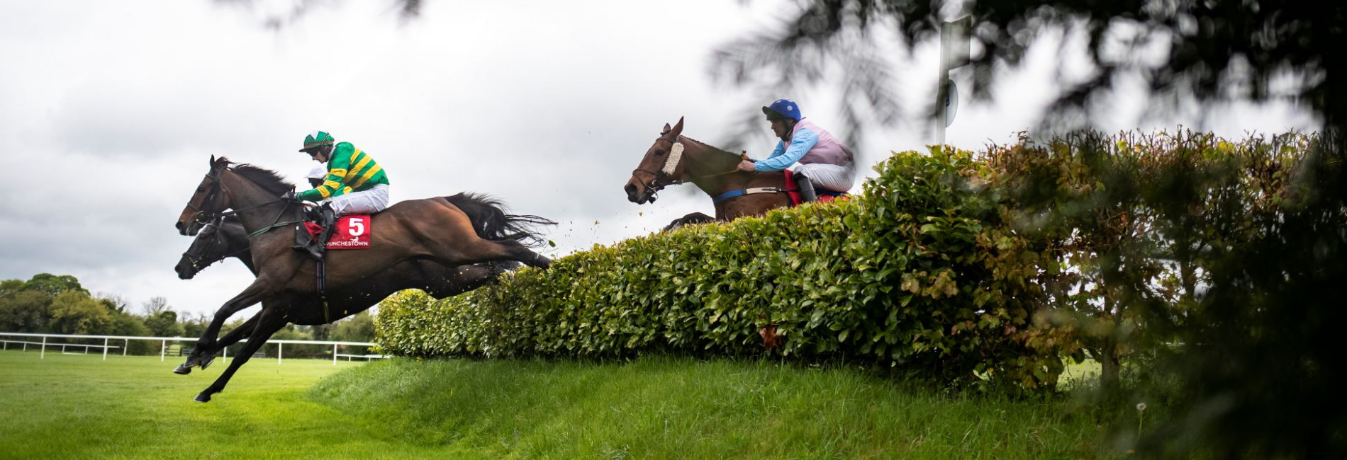 Punchestown Racing Killashee Hotel