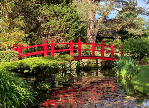 Japanese gardens min Killashee Hotel