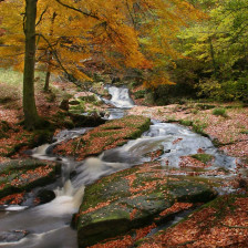 Copper stream Killashee Hotel
