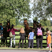 Visitors meeting some of our living legends Killashee Hotel