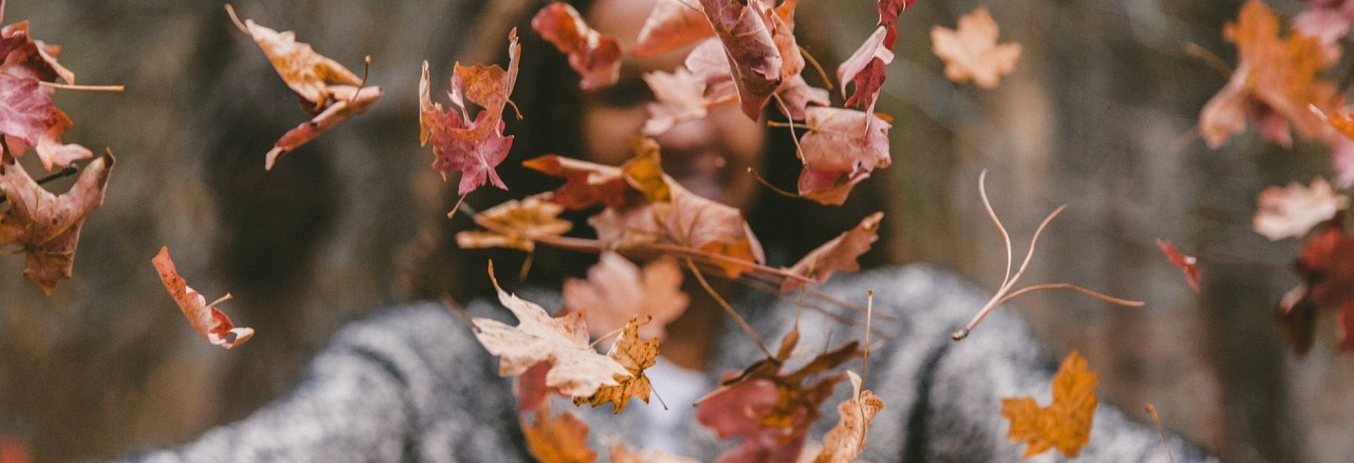 Autumn stock banner Killashee Hotel