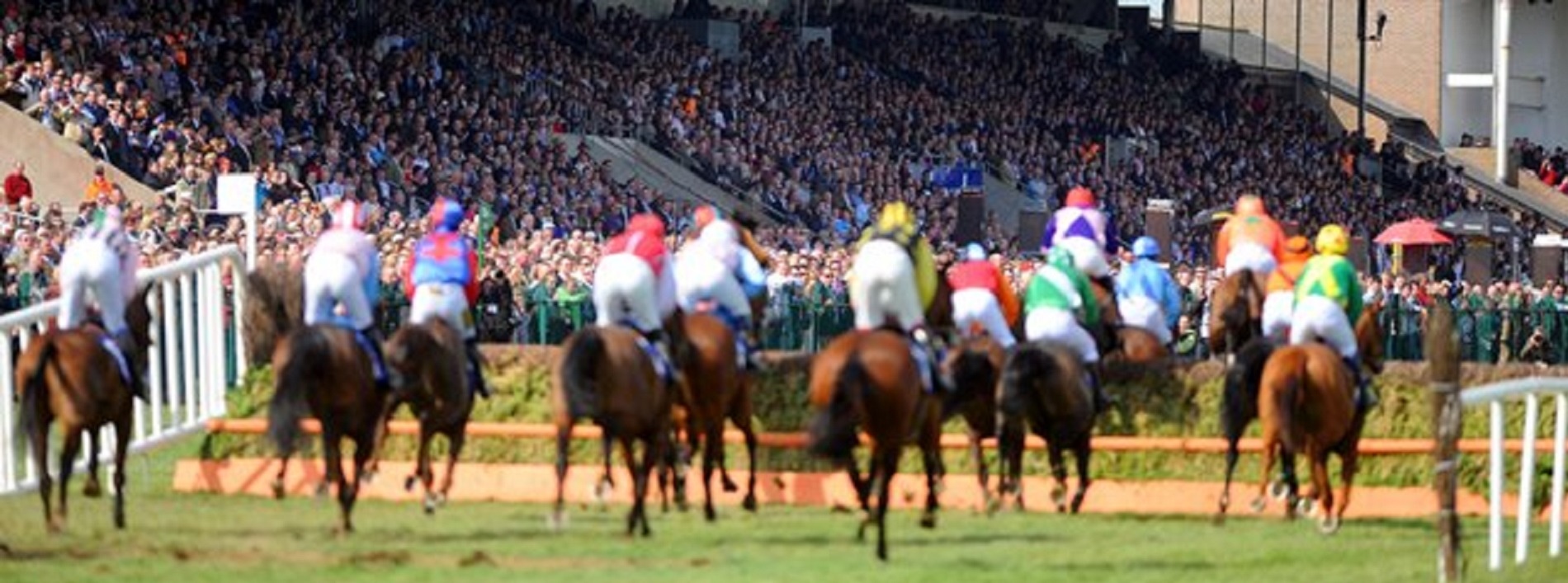 punchestown races banner