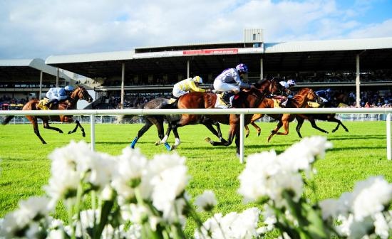 the curragh racecourse