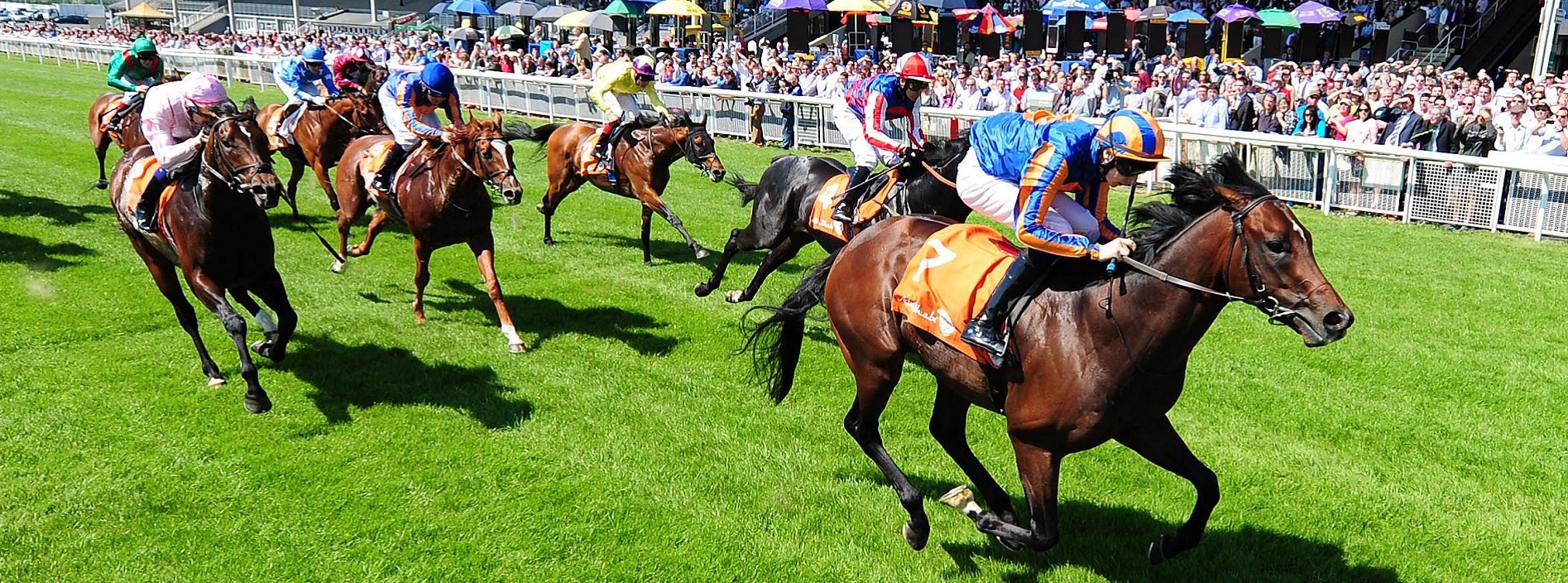 the curragh banner