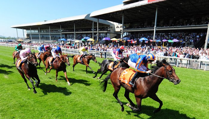 Behind the Scenes Tours at The Curragh