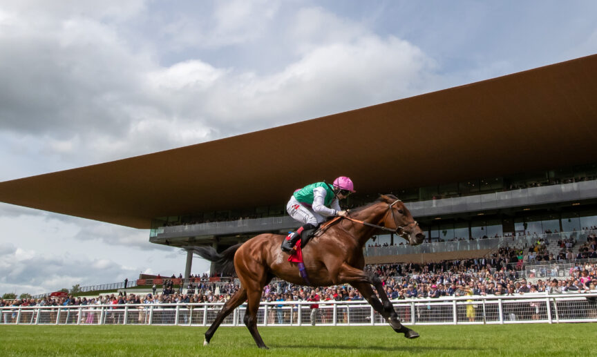 Horse galloping curragh - Killashee Hotel
