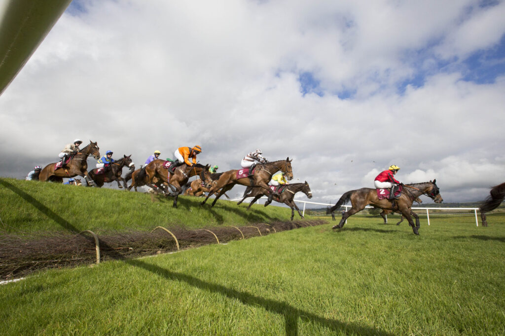 Horses at Punchestown - Killashee Hotel