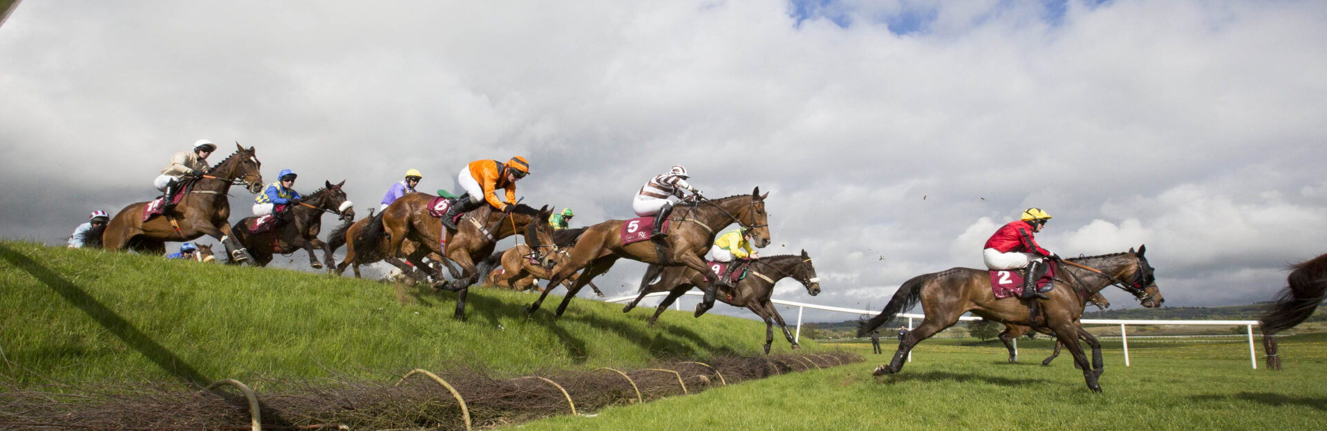 Horses at Punchestown - Killashee Hotel