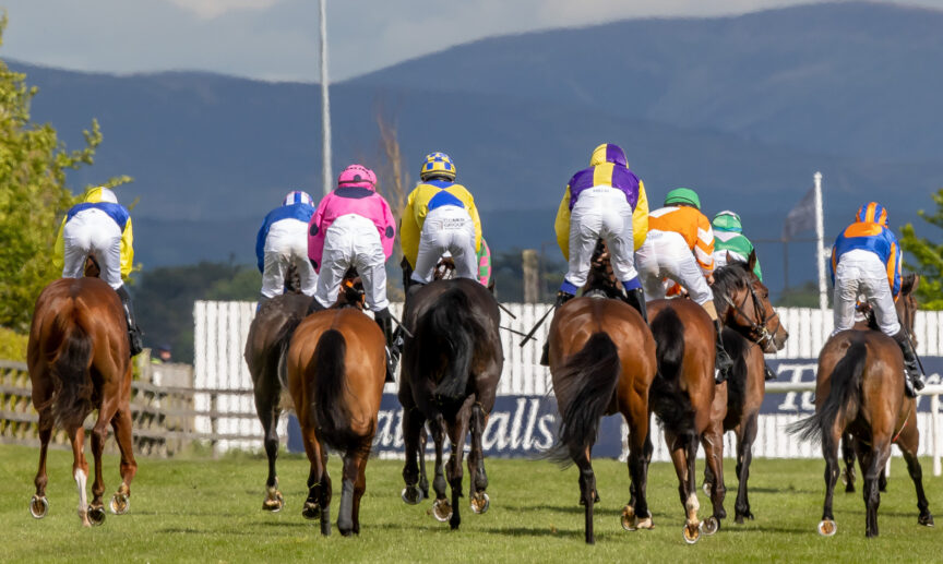 Horses curragh racecourse - Killashee Hotel