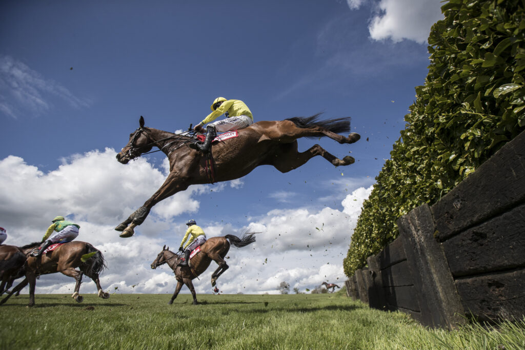 Jumping Horse - Killashee Hotel