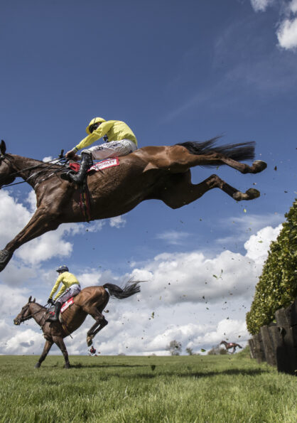 Jumping Horse - Killashee Hotel