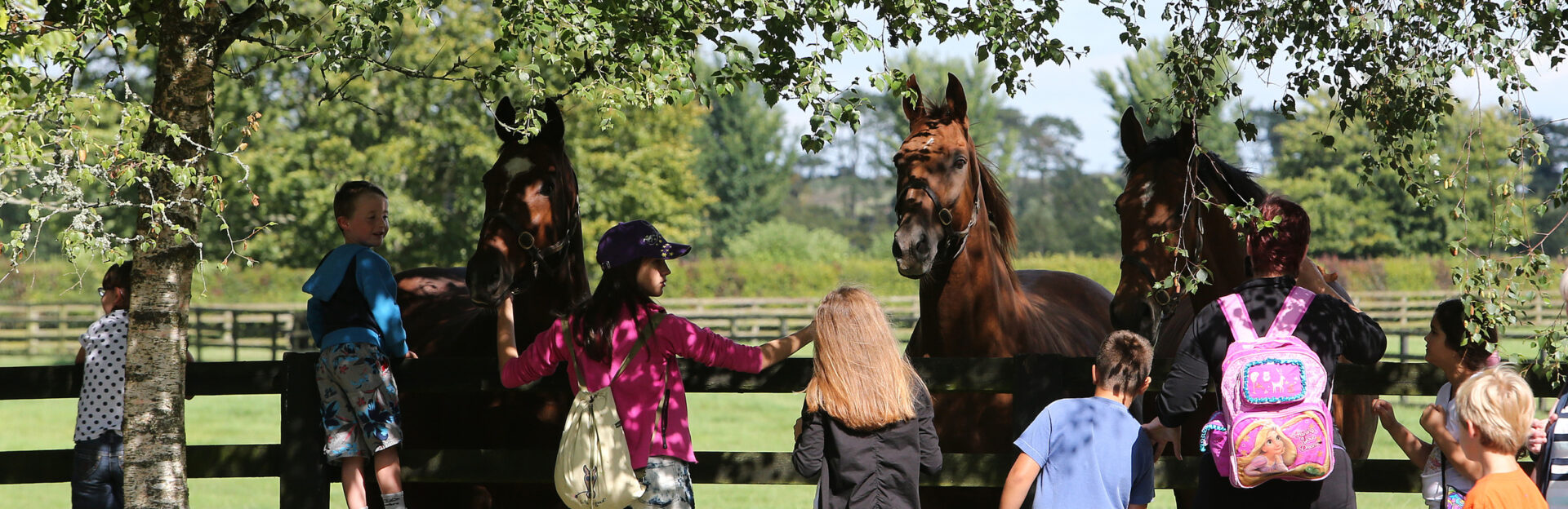 Visitors meeting some of our Living Legends 1 - Killashee Hotel