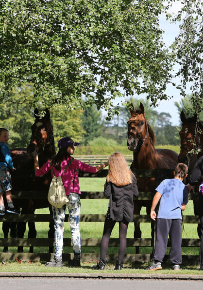 Visitors meeting some of our Living Legends 1 - Killashee Hotel
