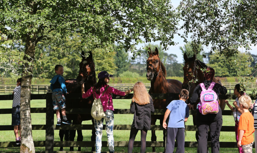 Visitors meeting some of our Living Legends 1 - Killashee Hotel
