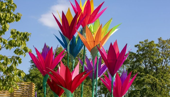 Killashee Hotel at Bord Bia Bloom Festival 2025: A Blooming Wonderful Weekend with Into Kildare