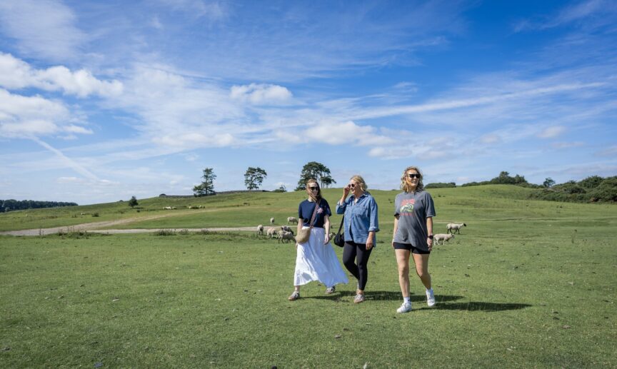 The Curragh Plains Co Kildare master - Killashee Hotel