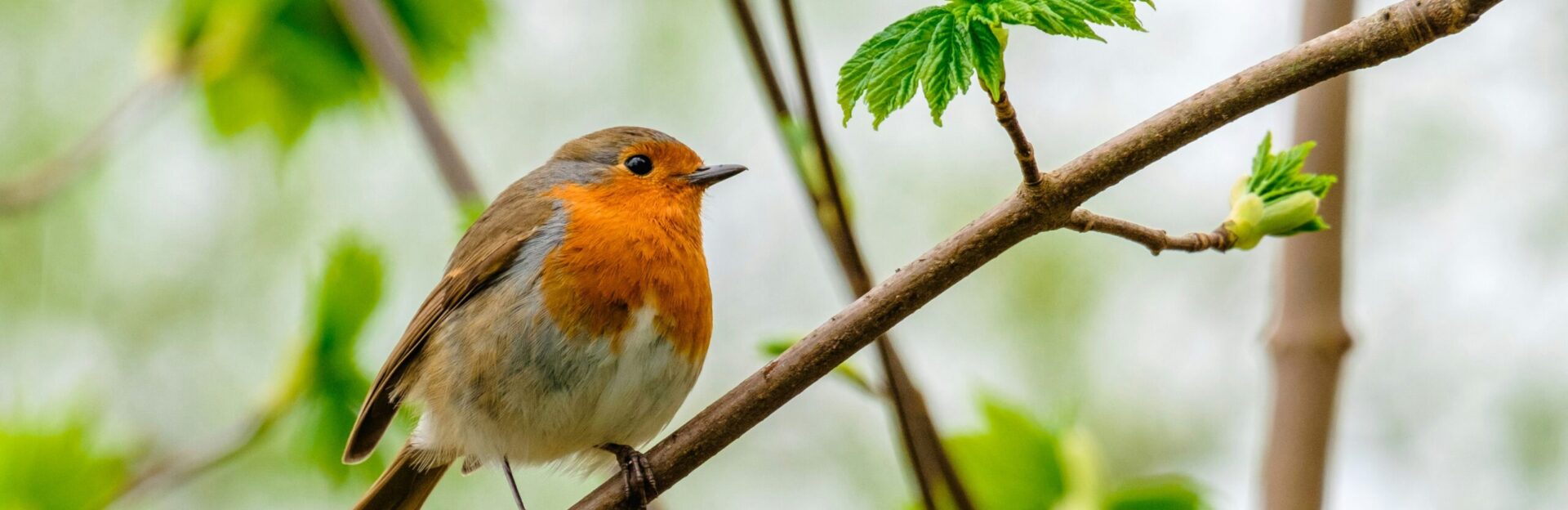 alfred kenneally FH DVrQoS4c unsplash - Killashee Hotel