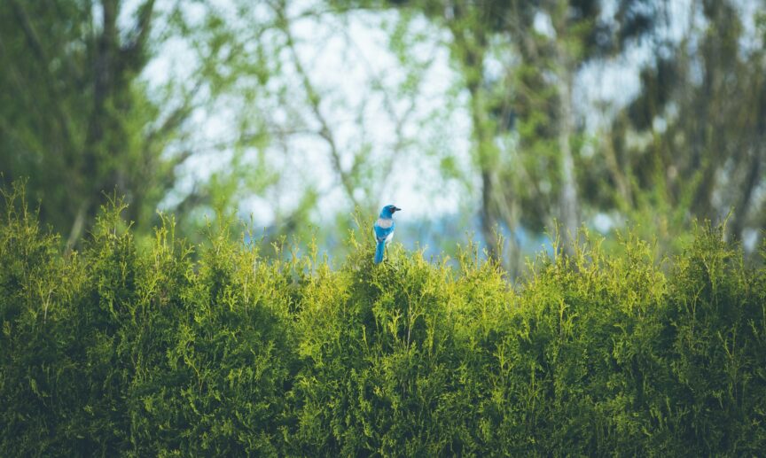 john king p79u5Z9CGRU unsplash - Killashee Hotel