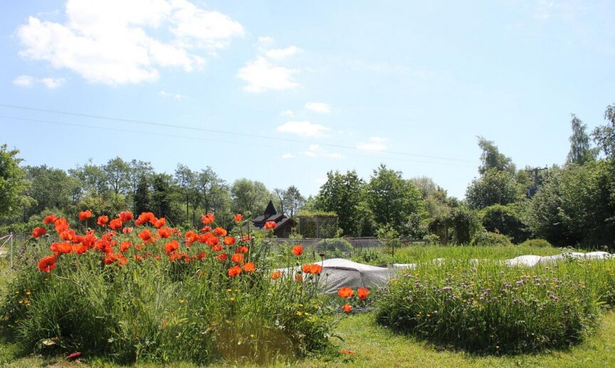 kilcullen farm nature - Killashee Hotel