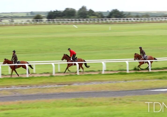 the curragh training in the hear - Killashee Hotel