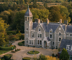 Black Friday Killashee 450 x 600 px 300 x 250 px 1 - Killashee Hotel