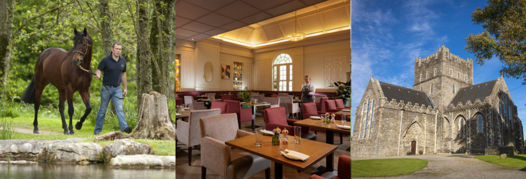 Ezine banners 10 - Killashee Hotel