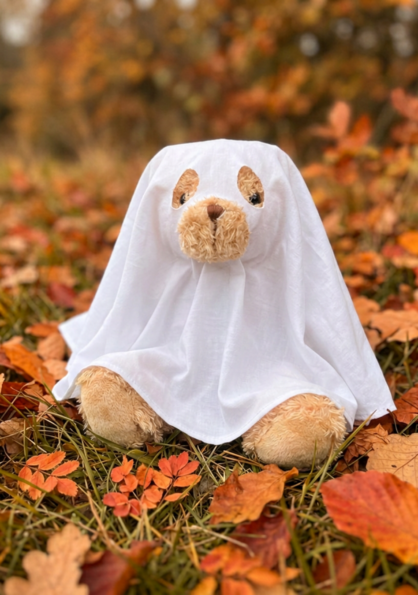 Halloween Teddy - Killashee Hotel